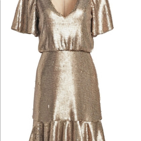 Monique Lhuillier Ruffle Hem Short Sleeve Dress - Picture 4 of 12